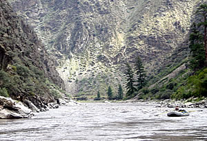 Middle Fork of the Salmon