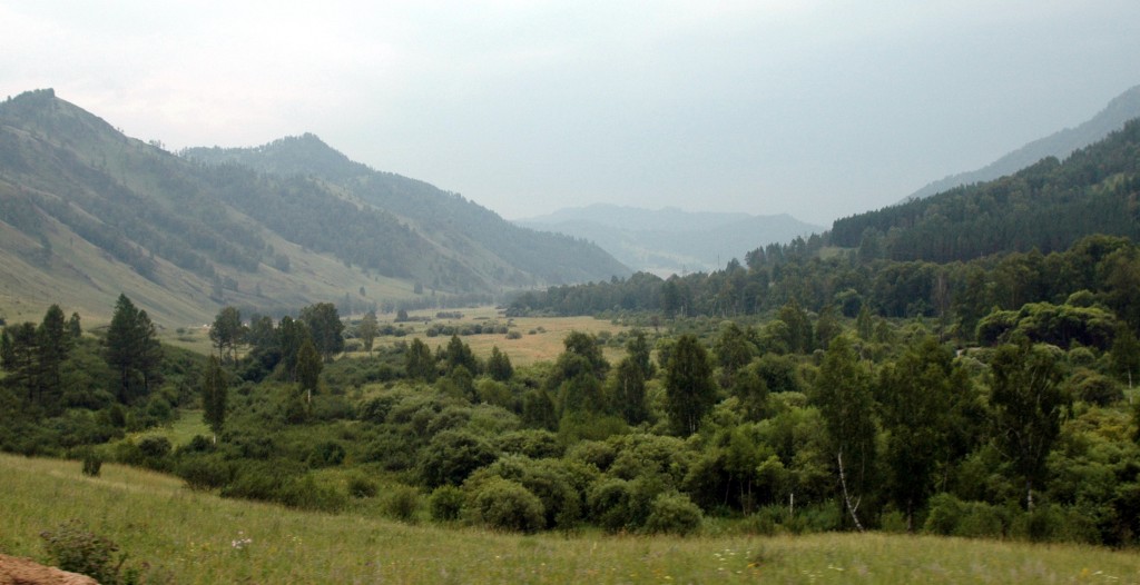 The road to Biysk